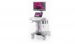 Siemens ACUSON S1000 HELX Evolution