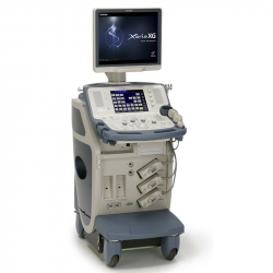 Toshiba Xario XG Second Life