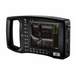 AcuVista RS880b
