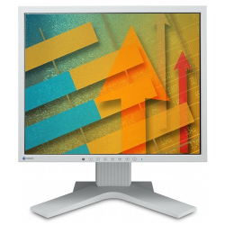 Eizo Eizo 17