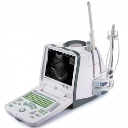 Mindray DP-6600