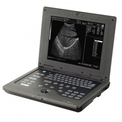 AcuVista RS880с