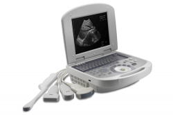 AcuVista VT98C