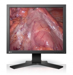 Eizo SCD 19102 C