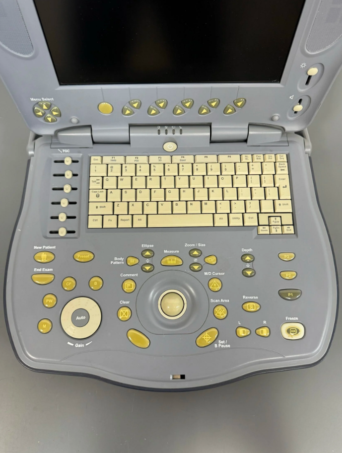 GE Healthcare Logiq Book