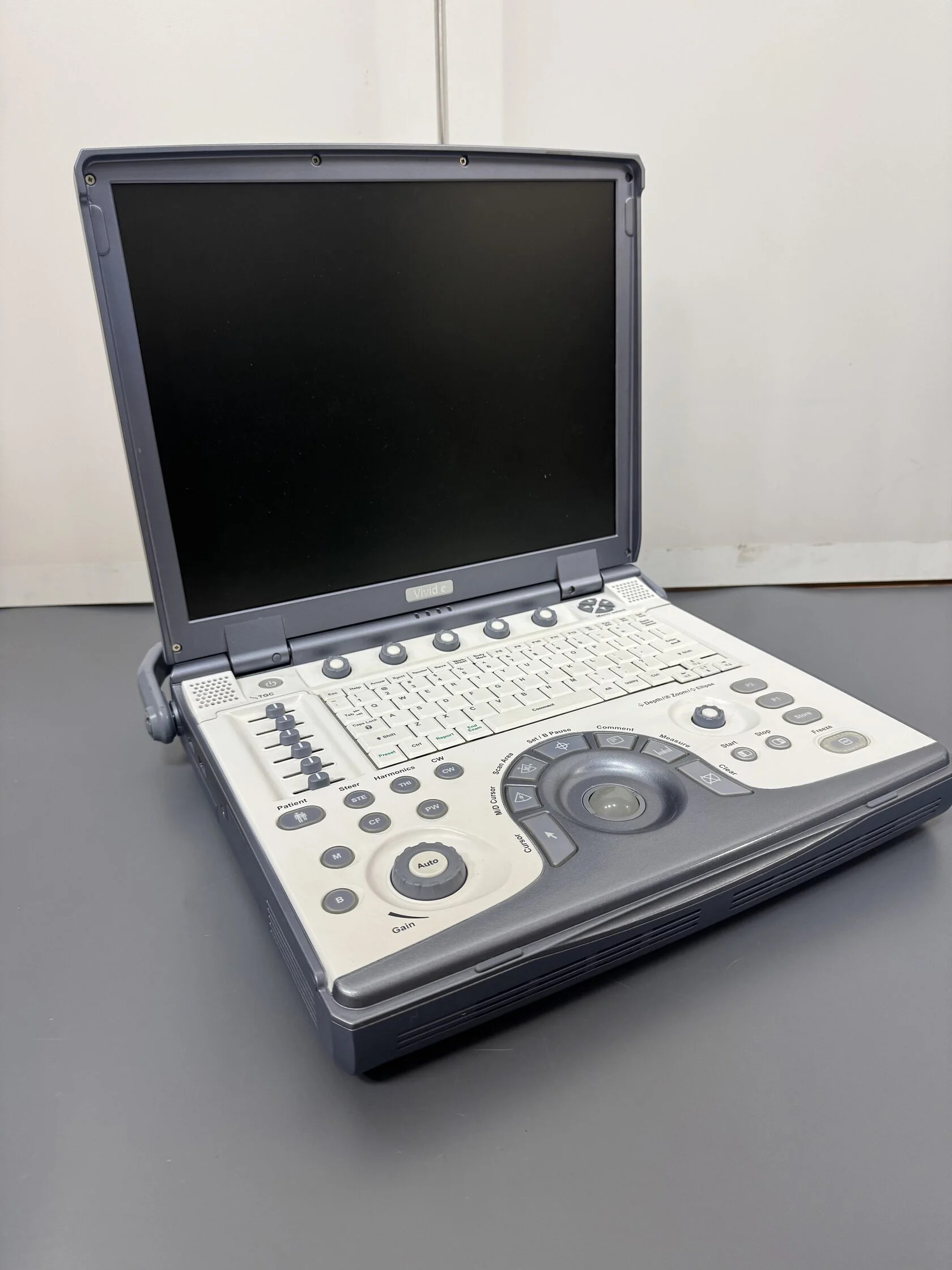 GE Healthcare Vivid e