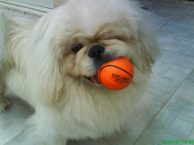 tzliltest46-136-tzliltest89 desc