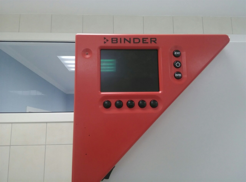 Лабораторный инкубатор  СB-150 (Binder) 2