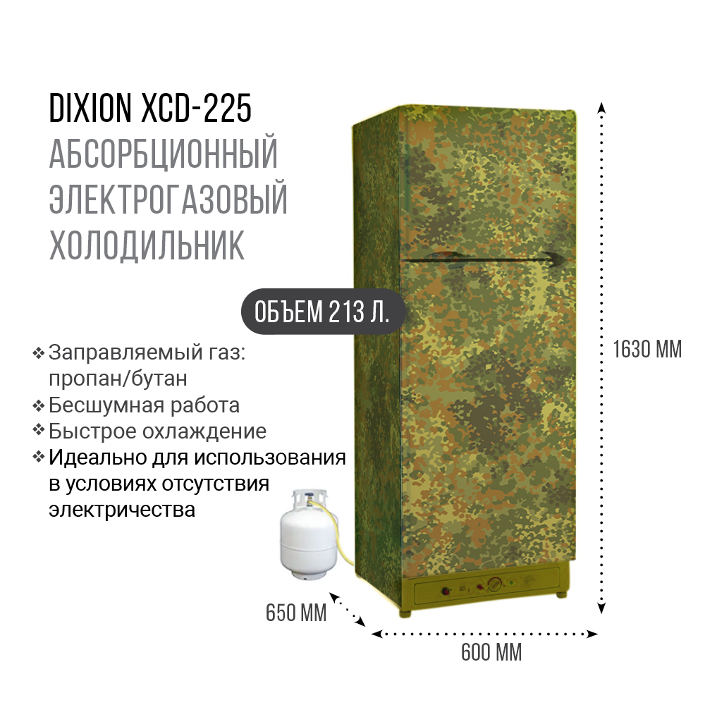 Холодильник абсорбционный электрогазовый XCD-225 2