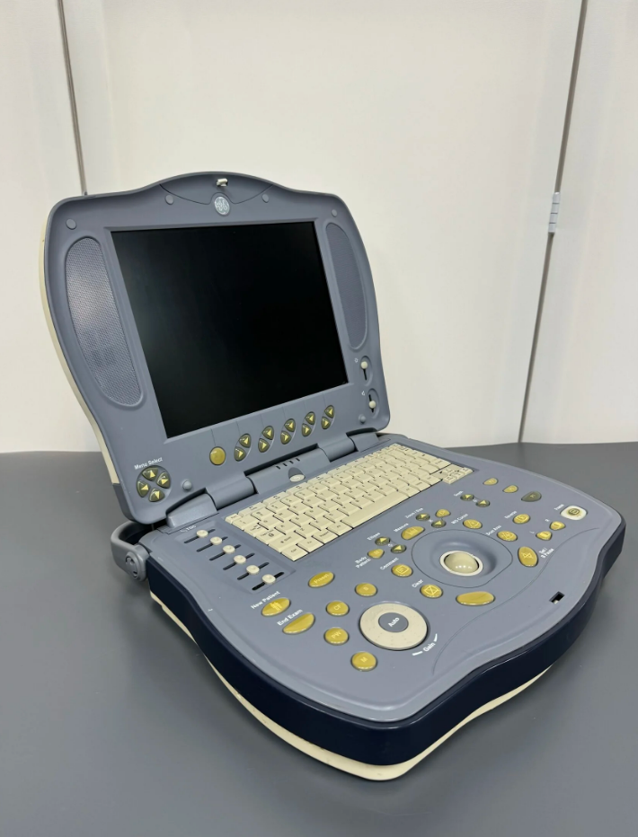 GE Healthcare Logiq Book