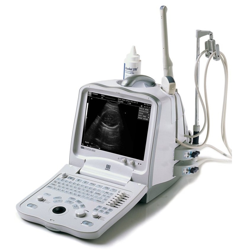Ветеринарная цифровая ультразвуковая диагностическая система DP-6900Vet Mindray 1