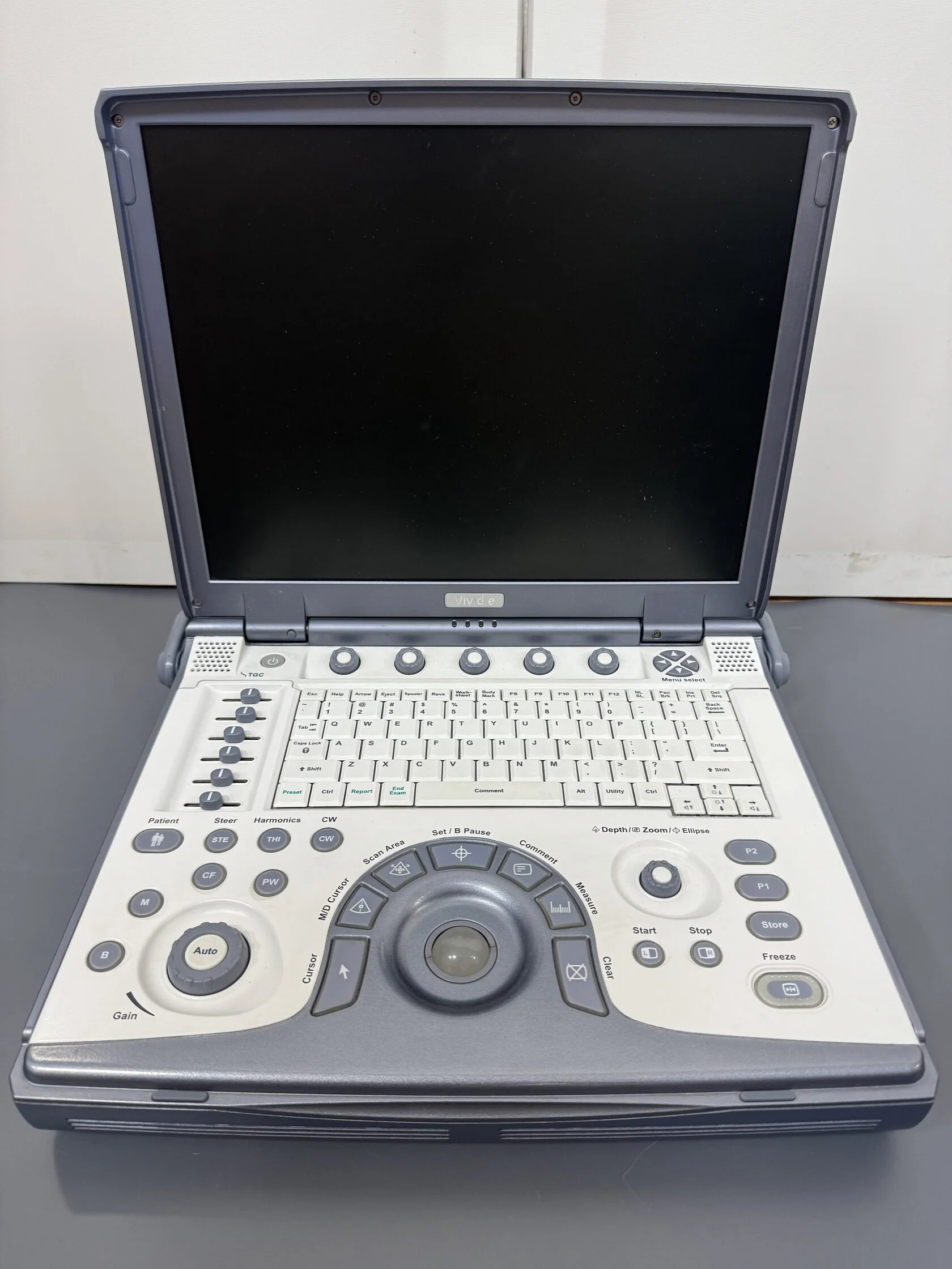 GE Healthcare Vivid e